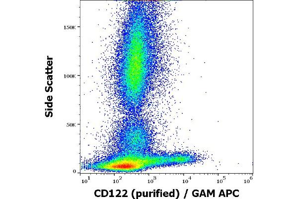 IL2 Receptor beta Antikörper