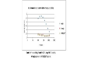 Image no. 1 for anti-Histone H4 (ciArg3), (N-Term) antibody (ABIN347793) (Histone H4 Antikörper  (ciArg3, N-Term))