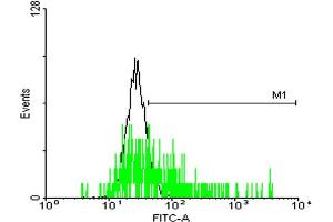 FACS analysis of negative control 293 cells (Black) and MRGPRX2 expressing 293 cells (Green) using MRGPRX2 purified MaxPab mouse polyclonal antibody. (MRGPRX2 Antikörper  (AA 1-330))