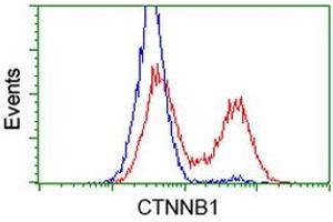 Image no. 3 for anti-Catenin (Cadherin-Associated Protein), beta 1, 88kDa (CTNNB1) antibody (ABIN1496896) (CTNNB1 Antikörper)