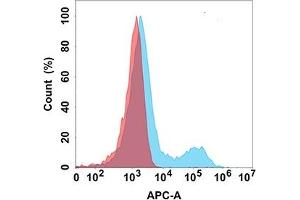 Flow cytometry analysis with Anti-NTB-A (DM159) on Expi293 cells transfected with human NTB-A (Blue histogram) or Expi293 transfected with irrelevant protein (Red histogram). (SLAMF6 Antikörper  (AA 22-226))