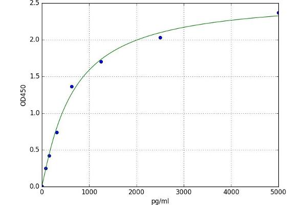 CBY1/PGEA1 ELISA Kit