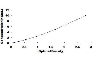 Typical Standard Curve for Rat SOD4 ELISA. (SOD4 ELISA Kit)