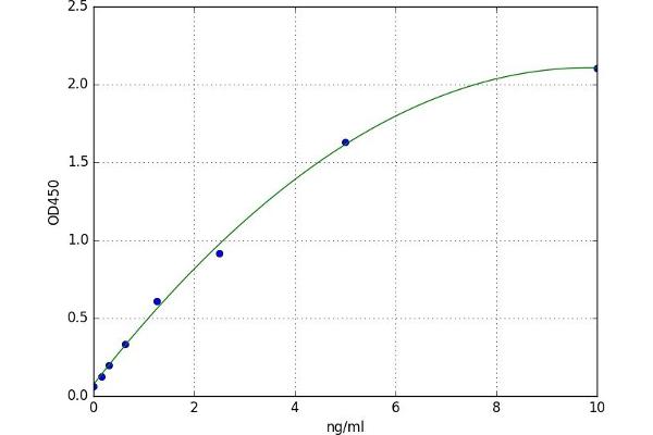 APLP2 ELISA Kit