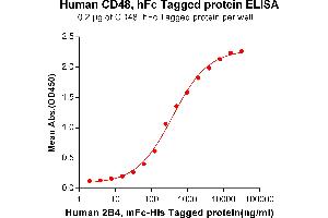 ELISA plate pre-coated by 2 μg/mL (100 μL/well) Human 2B4, mFc-His tagged protein ABIN6961083, ABIN7042195 and ABIN7042196 can bind Human CD48, hFc tagged protein (ABIN6961161, ABIN7042351 and ABIN7042352) in a linear range of 31. (CD48 Protein (CD48) (AA 27-220) (Fc Tag))