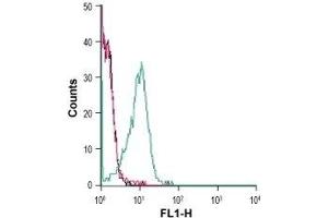 Cell surface detection of CCR9 in live intact rat lymphoma, T-lymphocyte (C58) cells: (black line) Cells. (CCR9 Antikörper  (2nd Extracellular Loop))