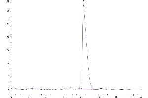 CADM3 Protein (AA 23-328) (His tag)