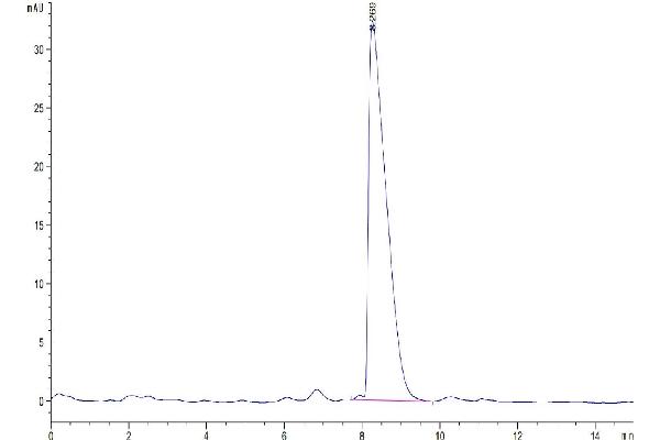 CADM3 Protein (AA 23-328) (His tag)