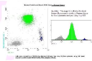 Image no. 1 for anti-CD14 (CD14) antibody (ABIN1112060) (CD14 Antikörper)