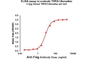 TRPA1 Protein