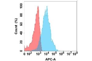 Flow cytometry analysis with Anti-CRTAM on Expi293 cells transfected with human CRTAM (Blue histogram) or Expi293 transfected with irrelevant protein (Red histogram). (CRTAM Antikörper)