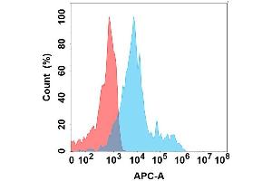 Flow cytometry analysis with Anti- on Expi293 cells transfected with human (Blue histogram) or Expi293 transfected with irrelevant protein (Red histogram). (CCR4 Antikörper)