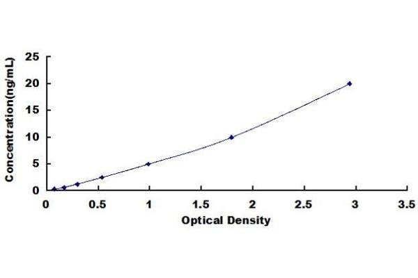 DBP ELISA Kit