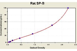 Diagramm of the ELISA kit to detect Rat SP-Bwith the optical density on the x-axis and the concentration on the y-axis. (SFTPB ELISA Kit)