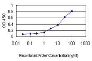 ELISA image for anti-Topoisomerase (DNA) I (TOP1) (AA 692-765) antibody (ABIN563222)