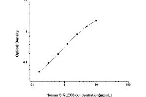 SIGLEC8 ELISA Kit