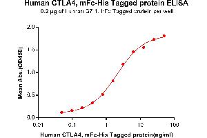 ELISA image for Cytotoxic T-Lymphocyte-Associated Protein 4 (CTLA4) (AA 36-161) protein (mFc-His Tag) (ABIN6961090)