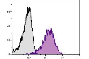 Human peripheral blood platelets were stained with Mouse Anti-Human CD36-FITC. (CD36 Antikörper)