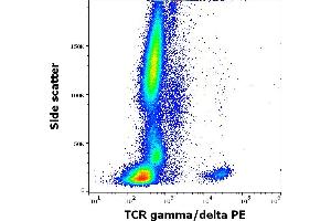 Flow cytometry surface staining pattern of human peripheral whole blood stained using anti-human TCR gamma/delta (11F2) PE antibody (10 μL reagent / 100 μL of peripheral whole blood). (TCR gamma/delta Antikörper  (PE))