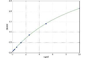 RAPGEF4 ELISA Kit