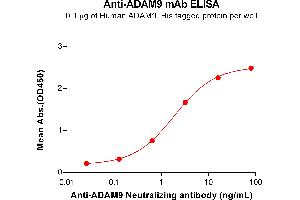 ELISA plate pre-coated by 1 μg/mL (100 μL/well) Human A protein, His Tag ABIN6964219, ABIN7042673 and ABIN7042674 can bind Anti-A Neutralizing antibody (ABIN7093080 and ABIN7272610) in a linear range of 0. (Rekombinanter ADAM9 Antikörper)