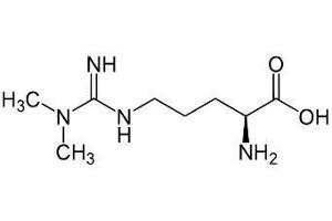 Image no. 2 for Asymmetrical Dimethylarginine (ADMA) peptide (BSA) (ABIN5665945) (Asymmetrical Dimethylarginine (ADMA) peptide (BSA))