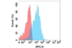 Flow cytometry analysis with Anti-EMCN on Expi293 cells transfected with human EMCN (Blue histogram) or Expi293 transfected with irrelevant protein (Red histogram). (Endomucin Antikörper)