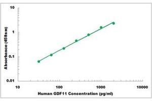 Representative Standard Curve (GDF11 ELISA Kit)