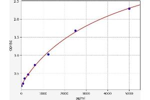 Klk1b22 ELISA Kit