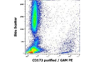 Flow cytometry surface staining pattern of human peripheral whole blood stained using anti-human CD173 (MEM-195) purified antibody (concentration in sample 5 μg/mL, GAM PE). (CD173 Antikörper)