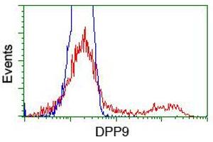 HEK293T cells transfected with either RC224465 overexpress plasmid (Red) or empty vector control plasmid (Blue) were immunostained by anti-DPP9 antibody (ABIN2455318), and then analyzed by flow cytometry. (DPP9 Antikörper)