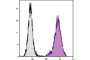 Mouse Mφ cells were stained with Rat  Anti-Mouse CD107b-APC. (LAMP2 Antikörper  (FITC))