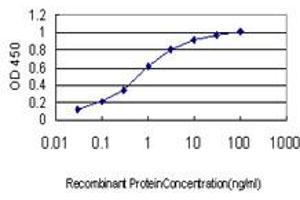Detection limit for recombinant GST tagged RAD54B is approximately 0. (RAD54B Antikörper  (AA 801-910))