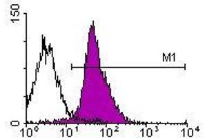 Image no. 1 for anti-Integrin alpha-L (ITGAL) antibody (Biotin) (ABIN135126) (ITGAL Antikörper  (Biotin))