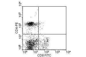 Image no. 1 for anti-CD4 (CD4) antibody (PE) (ABIN135475) (CD4 Antikörper  (PE))