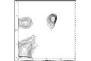 Image no. 1 for anti-CD4 (CD4) antibody (FITC) (ABIN474077) (CD4 Antikörper  (FITC))