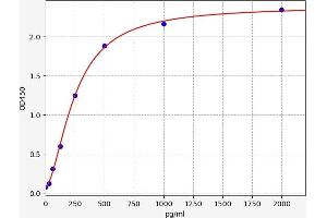 Caspase 6 ELISA Kit