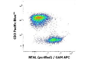 Flow Cytometry (FACS) image for anti-Linker For Activation of T Cells Family, Member 2 (LAT2) (AA 91-243), (Cytoplasmic Domain) antibody (ABIN94439)