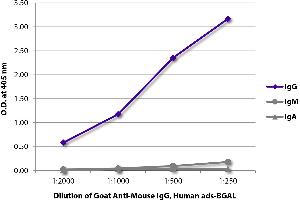 ELISA plate was coated with purified mouse IgG, IgM, and IgA. (Ziege anti-Maus IgG Antikörper (beta-Gal))