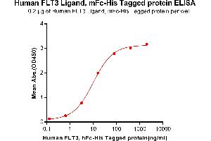 ELISA plate pre-coated by 2 μg/mL (100 μL/well) Human LG, mFc-His tagged protein (ABIN6961106, ABIN7042241 and ABIN7042242) can bind Human , hFc-His tagged protein ABIN6961080, ABIN7042189 and ABIN7042190 in a linear range of 0. (FLT3LG Protein (AA 27-185) (mFc-His Tag))