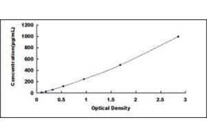 Typical standard curve (IL-13 ELISA Kit)