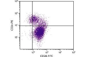 BALB/c mouse thymocytes were stained with Hamster Anti-Mouse CD28-FITC. (CD28 Antikörper  (FITC))