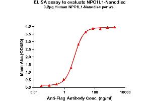Elisa plates were pre-coated with Flag Tag L1-Nanodisc (0. (NPC1L1 Protein)
