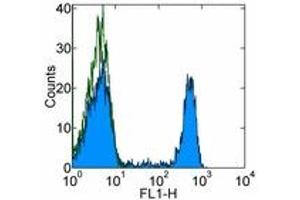 Image no. 1 for anti-CD8a Molecule (CD8A) antibody (FITC) (ABIN475707) (CD8 alpha Antikörper  (FITC))