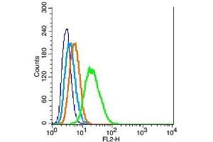 Flow Cytometry (FACS) image for anti-Glial Fibrillary Acidic Protein (GFAP) (AA 51-150) antibody (ABIN726200)