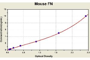 Diagramm of the ELISA kit to detect Mouse FNwith the optical density on the x-axis and the concentration on the y-axis. (Fibronectin ELISA Kit)