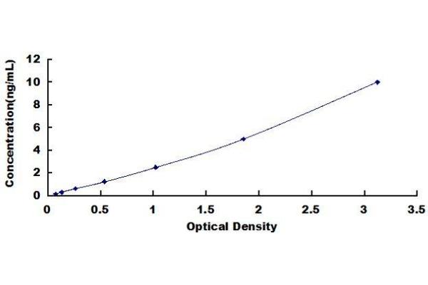 MTFMT ELISA Kit