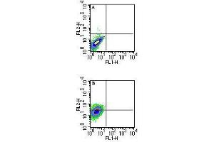 Image no. 3 for anti-Histocompatibility 2, T Region Locus 23 (H2-T23) antibody (ABIN959931) (H2-T23 Antikörper)