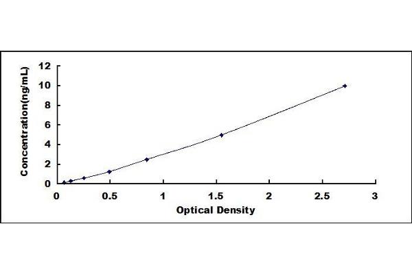 MMP1 ELISA Kit