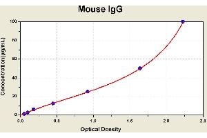 Diagramm of the ELISA kit to detect Mouse 1 gGwith the optical density on the x-axis and the concentration on the y-axis. (IgG ELISA Kit)